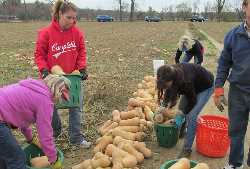 Farmers against Hunger