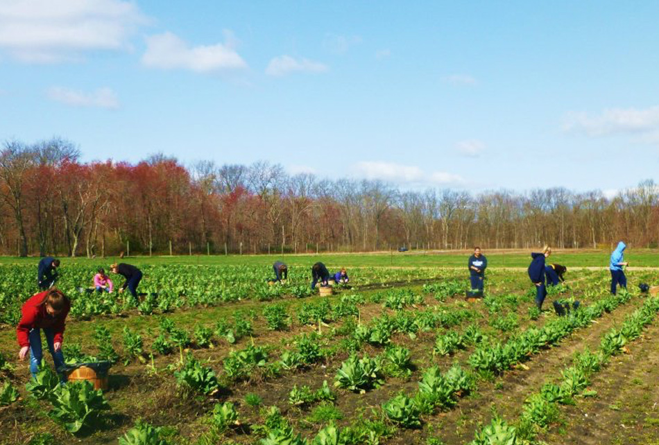 Farmers against Hunger